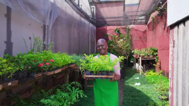 Portrait African American Older Lady Standing Outdoors Garden Backyard Holding — Stock Video