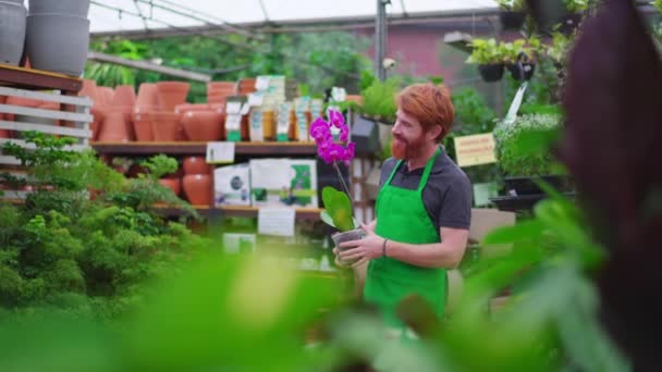 Candid Cheerful Redhead Hombre Empleado Sosteniendo Flor Tienda Horticultura Joven — Vídeos de Stock