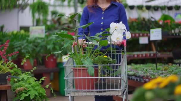 Жінка Штовхає Кошик Купуючи Рослини Садівничому Магазині — стокове відео