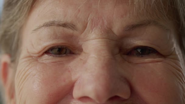 Macro Close Serene Senior Woman Eyes Looking Directly Camera Extreme — Video Stock