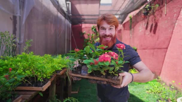 Joyful Redhair Young Man Holding Pot Plants Backyard Horticulture Environment — Stock Video