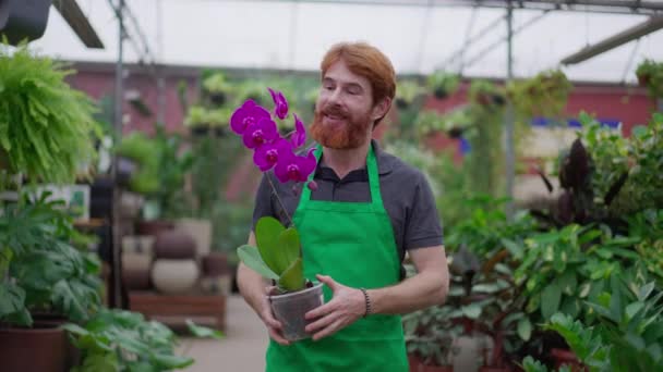 Młody Człowiek Przedsiębiorca Flower Shop Spacerujący Alejce Sklepu Ogrodniczego Trzymając — Wideo stockowe