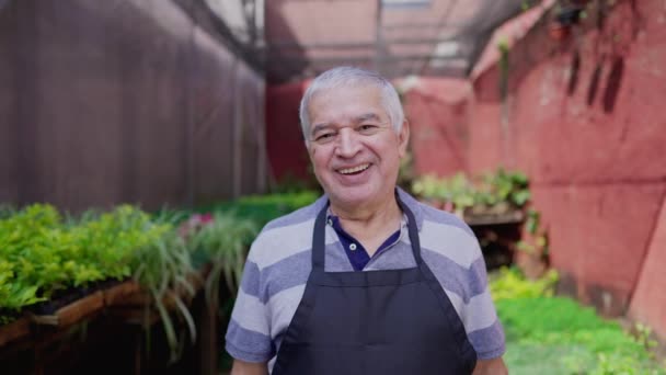 Gioioso Giardiniere Anziano Piedi Orticoltura Cortile Sorridente Ridente Carismatico Anziano — Video Stock