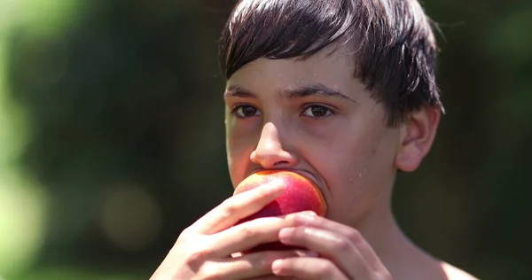 屋外で桃の実を食べる子供 若い男の子健康的な外で軽食 一口を取ります — ストック写真