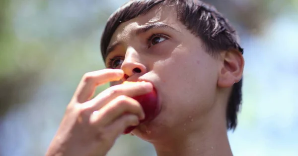 Barn Äter Persika Frukt Utomhus Bit Hälsosamt Mellanmål — Stockfoto