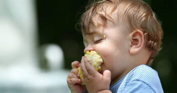 Carino Bambino Che Mangia Mais Alimentazione Dei Genitori Bambino Pannocchia — Foto Stock