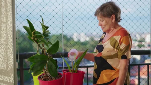 一位老年妇女在公寓阳台浇灌植物 真正老年妇女的家庭生活方式 — 图库视频影像