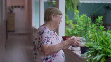 Yaşlı bir kadın evinin yakınındaki bitkileri suluyor.