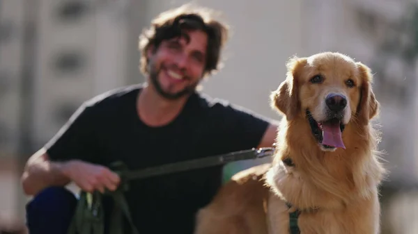 Чоловік Власник Собаки Чистить Свій Золотий Ретривер Чоловік Якому Посміхається — стокове фото