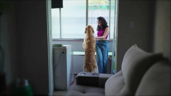 Mujer Joven Cándida Con Perro Pie Dentro Del Apartamento Pie — Foto de Stock