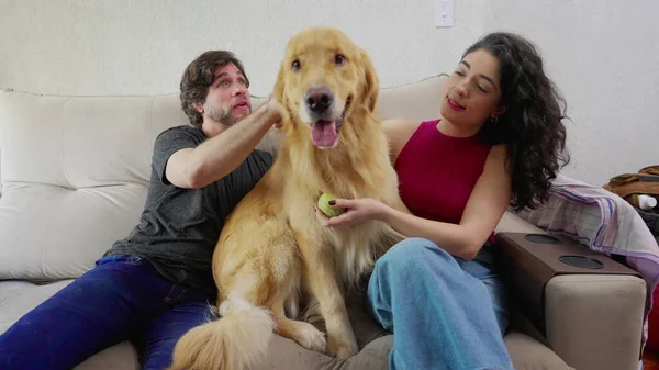Golden Retriever Dengan Pasangan Bahagia Duduk Sofa Rumah Anjing Menjilati — Stok Foto