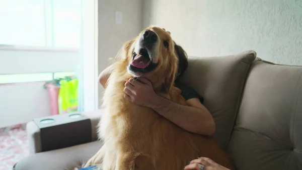 Male Dog Owner His Golden Retriever Sitting Couch Home Man — Stock Photo, Image