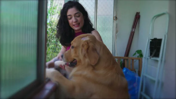 Yaşlardaki Mutlu Kadın Köpeğiyle Apartman Penceresinden Dışarı Bakıyor Bir Kadın — Stok fotoğraf