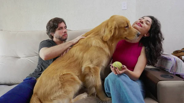 Golden Retriever Joyful Couple Sitting Couch Home Dog Licking Female — Stock Photo, Image