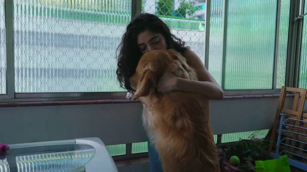 窓の側のアパートの窓の外に立っている間 彼女のゴールデンレトリバーにキスを愛する女性犬の所有者 愛情のある女性とともに彼女の犬動物 — ストック写真