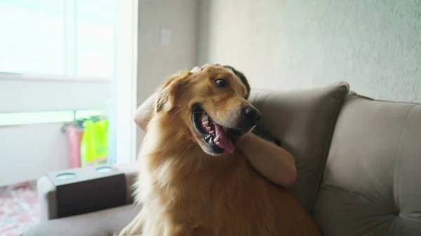 Male Dog Owner His Golden Retriever Sitting Couch Home Man — Stock Photo, Image