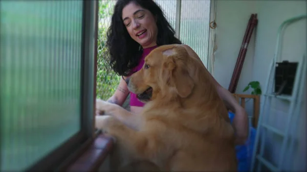 アパートの窓から犬が外を見て30代の幸せな女性 一人の女性が外を見ている彼女のゴールデンレトリバー — ストック写真