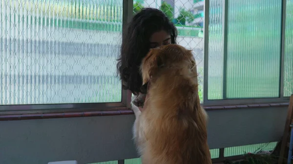 Любимая Владелица Собаки Целует Своего Золотистого Ретривера Стоя Окна Квартире — стоковое фото