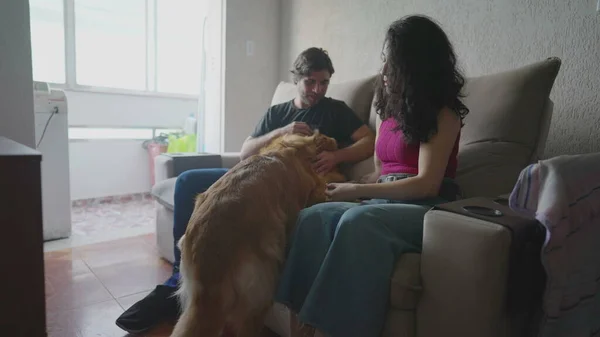 Счастливая Пара Собакой Сидящей Диване Игривый Золотистый Ретривер Взаимодействует Мужчиной — стоковое фото