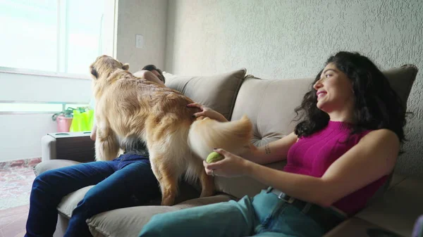 一对快乐的夫妇 他们的狗坐在沙发上 有趣的金毛猎犬与男人和女人互动 宠物主人的快乐概念 — 图库照片