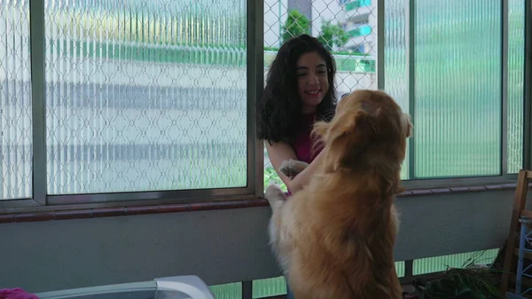 窓の側のアパートの窓の外に立っている間 彼女のゴールデンレトリバーにキスを愛する女性犬の所有者 愛情のある女性とともに彼女の犬動物 — ストック写真