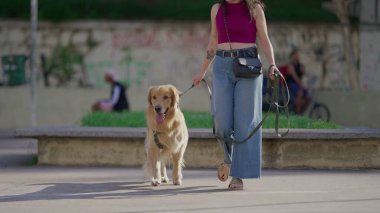 Bir köpek yoldaşıyla gezintiye çıkmak. 