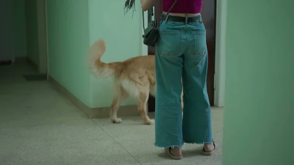 Жінка Чекає Ліфті Йдучи Прогулянку Своїм Собакою Посуд Жінка Якій — стокове фото