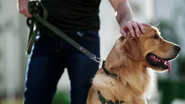 犬の所有者は公園の外で彼のゴールデンレトリバーをペット 杖の上の犬のコンパニオン — ストック写真