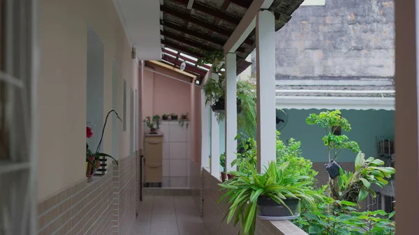 Brazilský Dům Exteriér Dvorek Nenucená Jihoamerická Rezidence Domácí Scéna Záběr — Stock fotografie