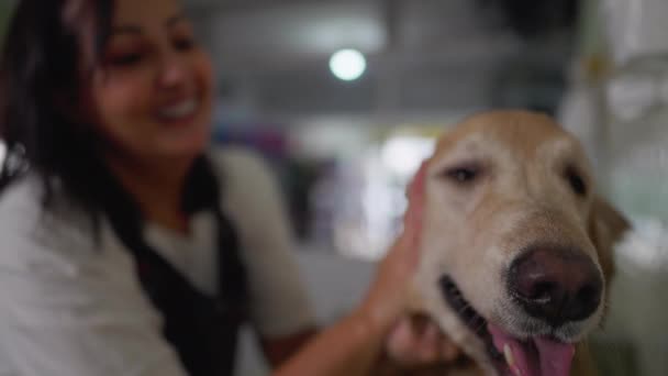 Κοντινό Πλάνο Γυναίκα Πλύσιμο Σκυλιών Στην Υπηρεσία Pet Shop Ευτυχής — Αρχείο Βίντεο