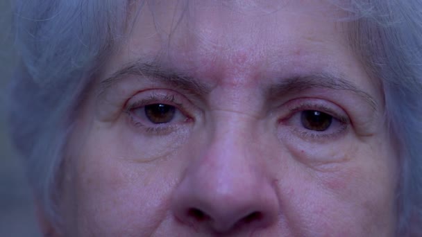 Macro Ojos Cercanos Una Mujer Mayor Con Arrugas Pelo Gris — Vídeos de Stock