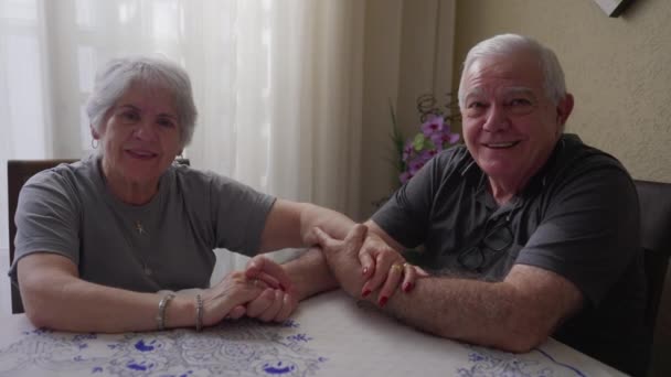 一对年长的夫妇在爱的柔情时刻牵着手的画像 多情的老夫老妻 真正美丽的浪漫时刻 — 图库视频影像