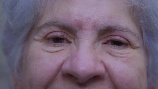 シニアの白人女性の目のマクロクローズアップは しわや白髪でカメラで笑顔 ７０歳代の老女 — ストック動画