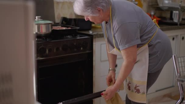 Μια Ηλικιωμένη Γυναίκα Ανοίγει Φούρνο Ετοιμάζει Φαγητό Candid Αυθεντικό Ηλικιωμένη — Αρχείο Βίντεο