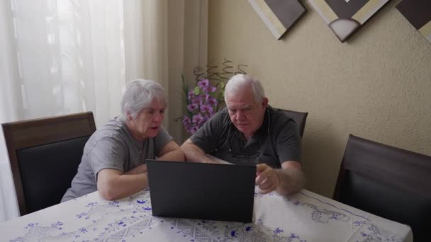 Modern Teknolojiyi Kullanan Yaşlılar Gri Saçlı Yaşlı Çift Dizüstü Bilgisayarla — Stok video