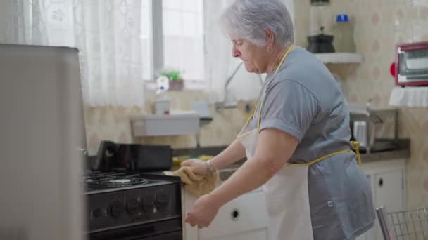 Oudere Vrouw Die Voedsel Uit Oven Haalt Een Openhartige Huiselijke — Stockvideo