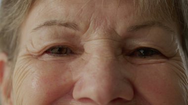 Serene Senior Woman 's Eyes' ın Macro Close-Up 'ı Doğrudan Kameraya Bakıyor. Sakin İfadesi Olan Yaşlı Kadın 'ın Aşırı Yakın Çekimi