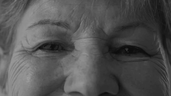 Monochromatic Macro Close Serene Senior Woman Eyes Looking Directly Camera — стоковое фото