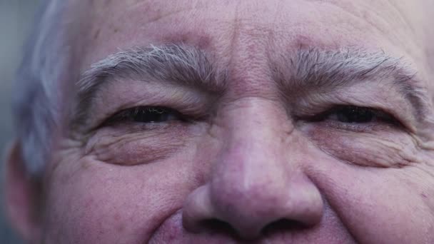 Macro Primer Plano Hombre Mayor Ojos Con Arrugas Que Muestran — Vídeos de Stock