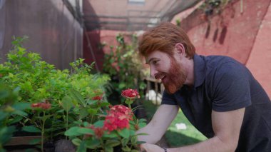 Bahçe bahçesinin dışındaki raftan bitki çıkaran neşeli genç adam. Dışarıdaki bitkilerin yeşilliğini gösteren kişi