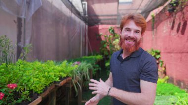 Bahçıvanlık bitkilerinin arka bahçesine saksı koyan mutlu adam. Kızıl saçlı neşeli bir erkek.