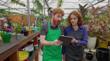 Coşkulu Kızıl Kafalı Çift Yerel Çiçek Dükkanında Bitki Alışverişi Yapıyor. İnsanlar fabrikada yürüyor.