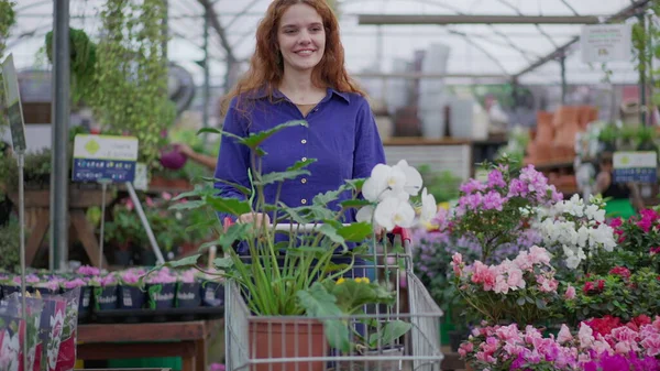 Gledelig Kvinne Som Velger Planter Blomster Med Kjerre Blomsterbutikk Kvinnelig – stockfoto