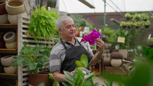 Candid Homem Mais Velho Segurando Flor Dentro Horticultura Loja Plantas — Fotografia de Stock