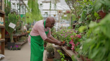 Çiçekçi dükkanında çalışan yaşlı siyahi bir kadın raflardaki ürünleri denetliyor. Bahçe bitkisi dükkanında yeşil önlük giyen Afrikalı yaşlı bir kadın.
