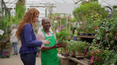 Yerel Bahçıvanlık Mağazası 'nda Genç Bayan Müşteriye Yardım Ediyor. Afrikalı Amerikalı yaşlı bir kadın, küçük bir çiçekçi dükkanında bitki alımı için müşteriye danışmanlık yapıyor.
