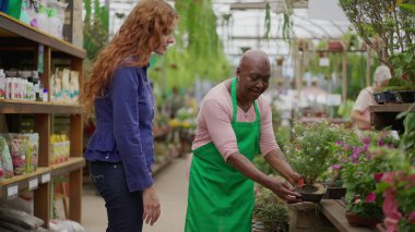 Bahçıvanlık mağazasında genç müşterilere yardım eden yaşlı ve cesur bir kadın. Yaşlı siyahi bir kadın müşteriye yerel bir çiçekçiden bitki alması için yardım ediyor.