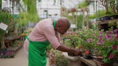 Çiçekçi dükkanında çalışan yaşlı siyahi bir kadın raflardaki ürünleri denetliyor. Bahçe bitkisi dükkanında yeşil önlük giyen Afrikalı yaşlı bir kadın.