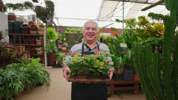 Homem Florista Maduro Com Cesta Flores Plant Greenhouse Store Loja — Fotografia de Stock