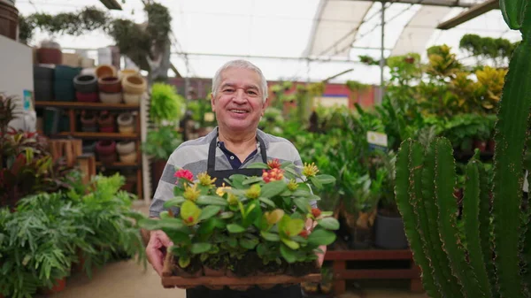 Homem Florista Maduro Com Cesta Flores Plant Greenhouse Store Loja — Fotografia de Stock